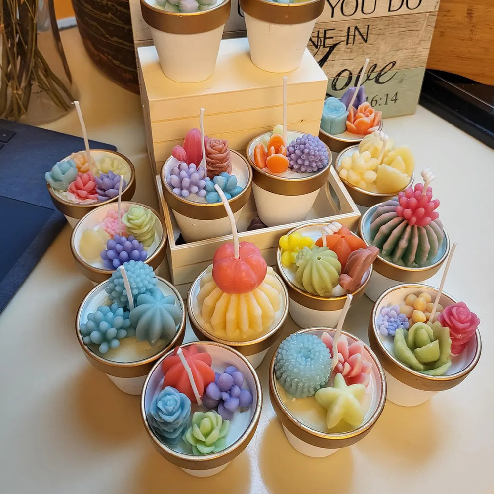 6pcs Succulent Silicone Candle - Candle Making Course 评论和价格