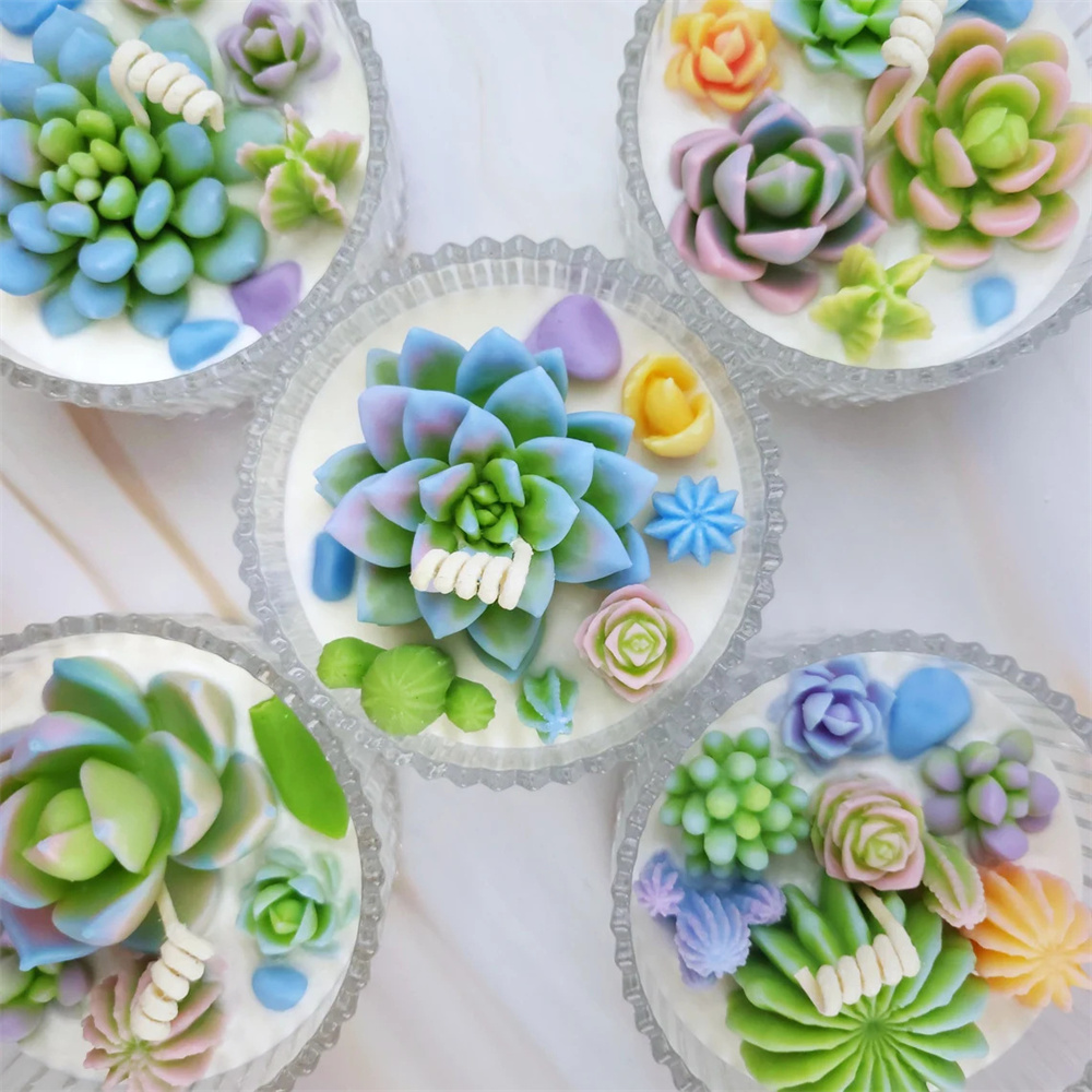 6pcs Succulent Silicone Candle - Candle Making Course 评论和价格